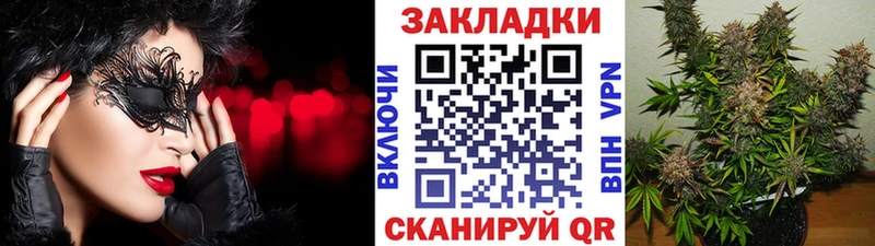 Где продают наркотики Пустошка A PVP  МЕФ  Каннабис  Кокаин 