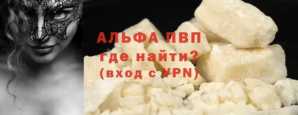 гашик Арсеньев