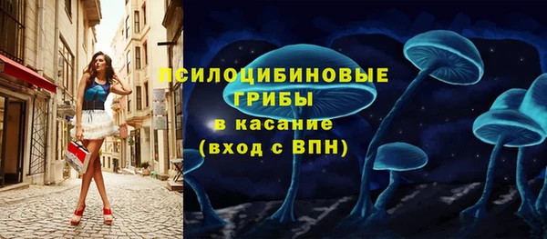 гашик Арсеньев