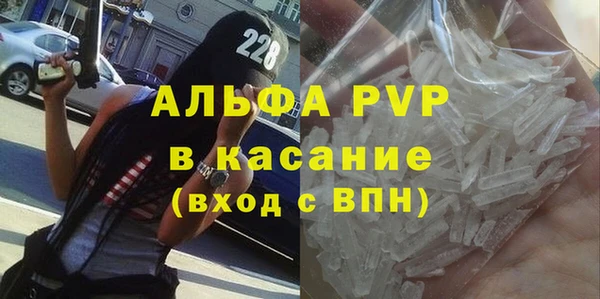 гашик Арсеньев