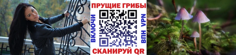 Галлюциногенные грибы GOLDEN TEACHER  дарнет шоп  Пустошка 